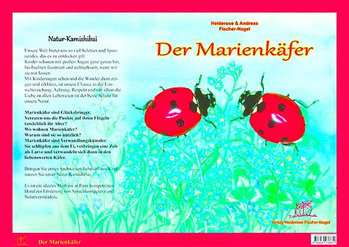 Natur-Kamishibai - Der Marienkäfere