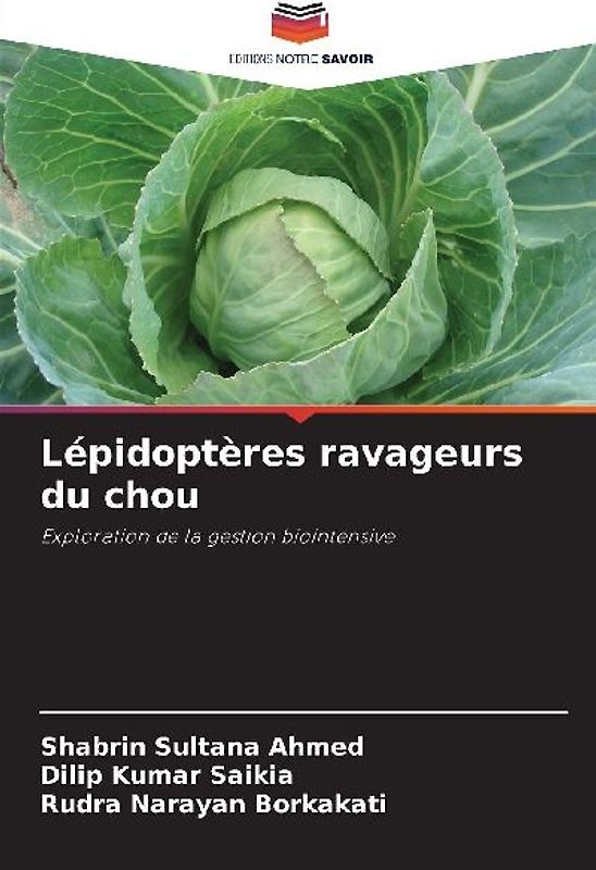 Lépidoptères ravageurs du chou
