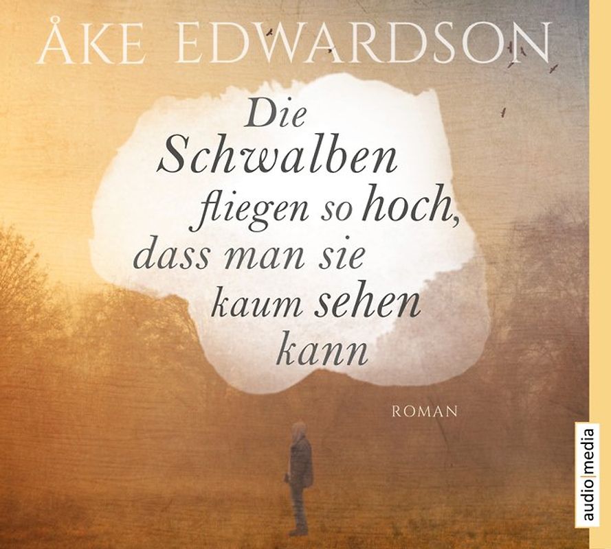 Die Schwalben fliegen so hoch, dass man sie kaum sehen kann