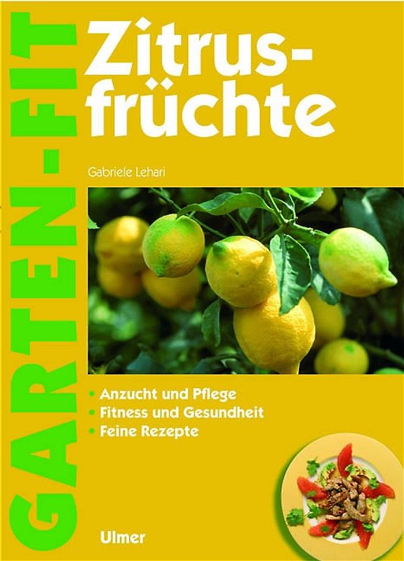 Zitrusfrüchte