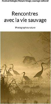 Rencontres avec la vie sauvage