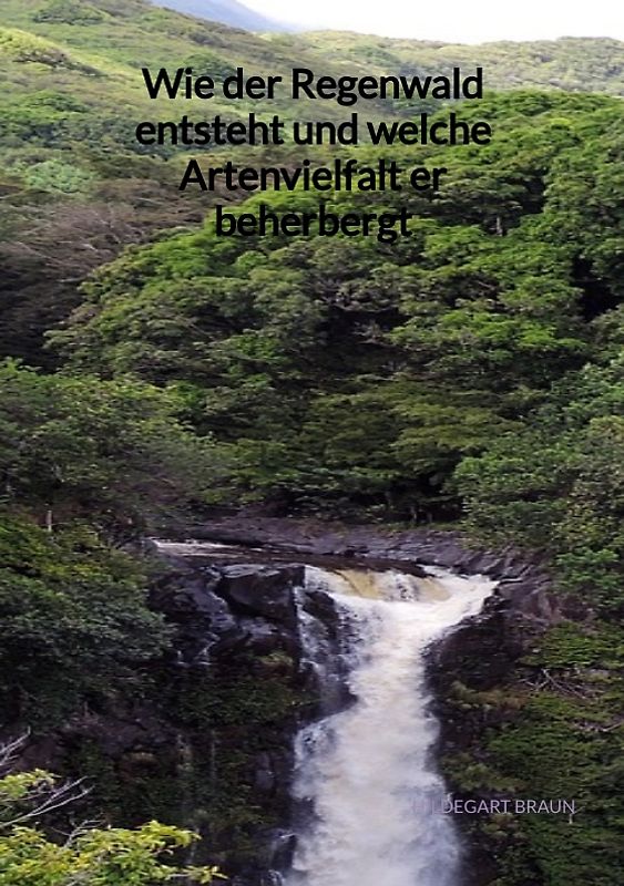 Wie der Regenwald entsteht und welche Artenvielfalt er beherbergt