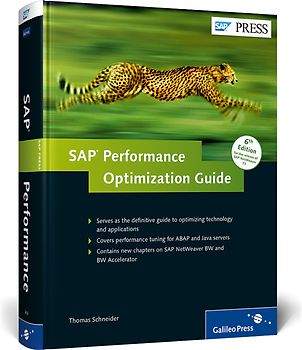 SAP Performance Optimization Guide