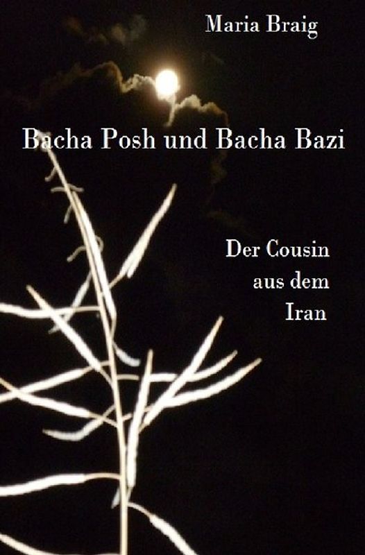 Bacha Posh und Bacha Bazi