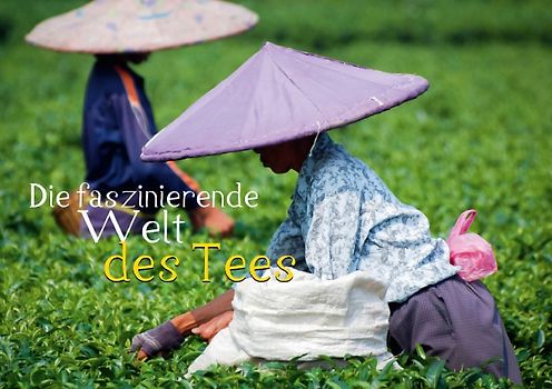 Die faszinierende Welt des Tees (Tischaufsteller DIN A5 quer)