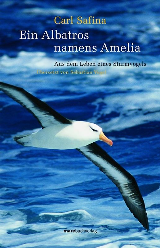 Ein Albatros namens Amelia