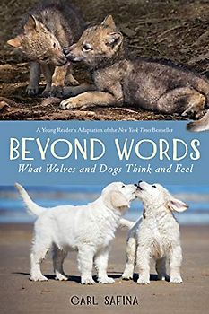 Beyond Words: What Wolves and Dogs Think and Feel: Young Readers Adaptation
