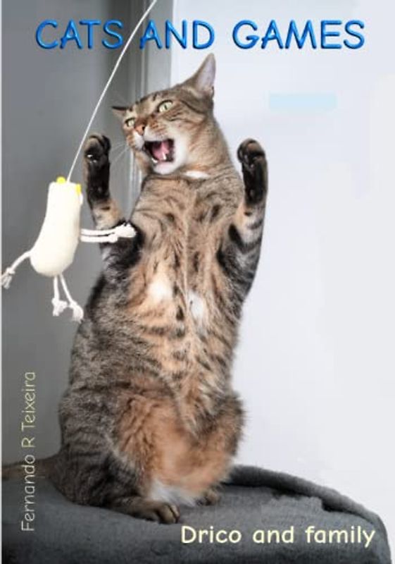 Cats and games: Drico and family