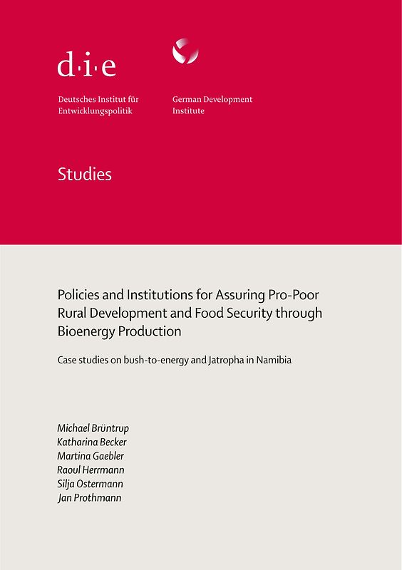 Policies and institutions for assuring pro-poor rural development and food security through bioenergy production