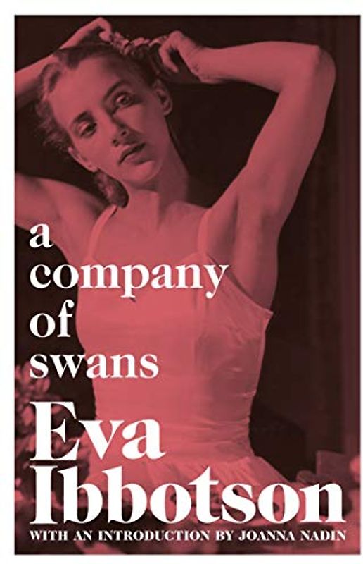 A Company of Swans (Aziza's Secret Fairy Door, 56)