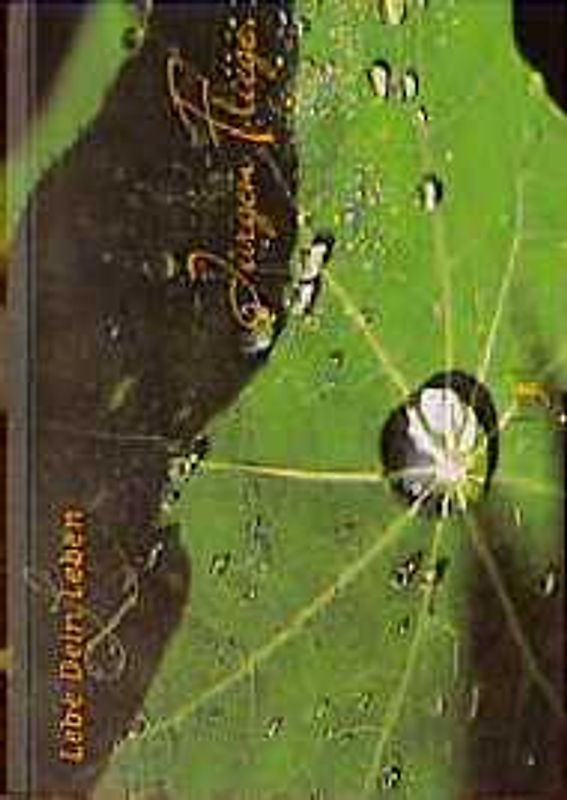 Lebe Dein Leben. (Ed. Kiefel)