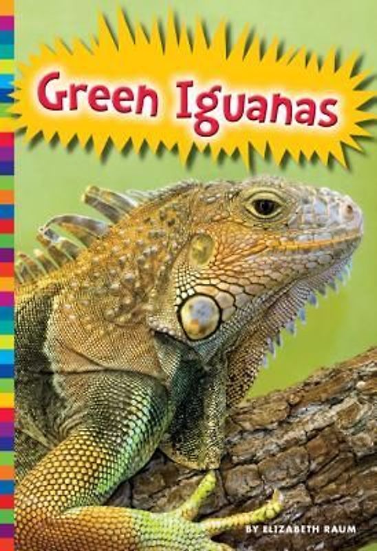 Green Iguanas