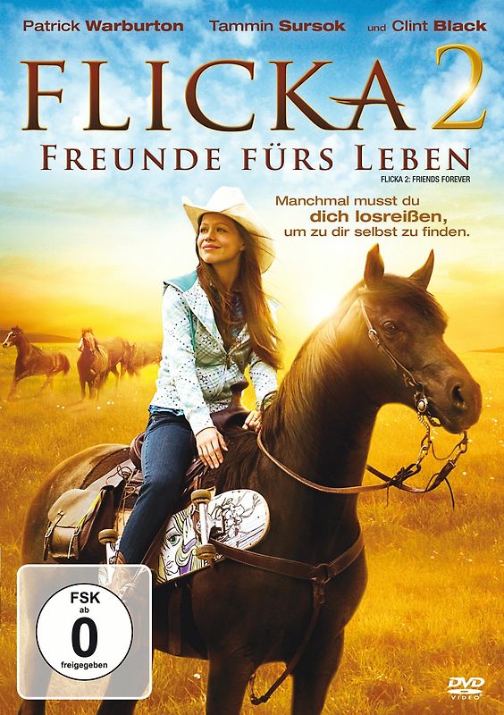 Flicka 2 - Freunde fürs Leben DVD
