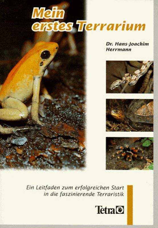 Mein erstes Terrarium