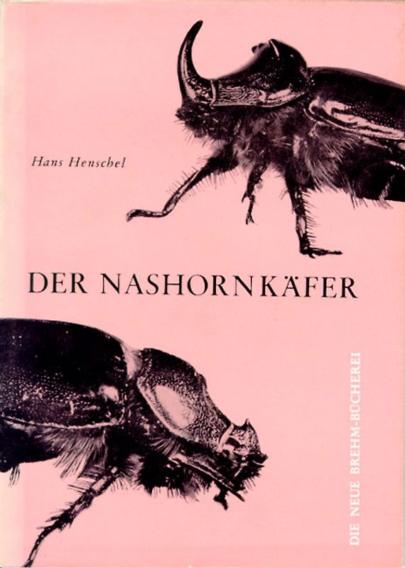 Der Nashornkäfer