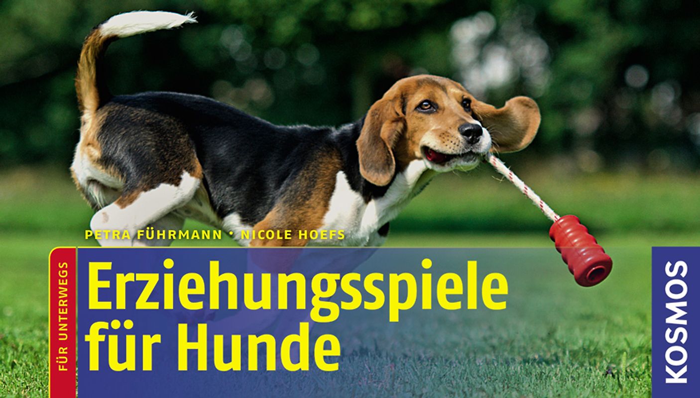 Erziehungsspiele Hunde