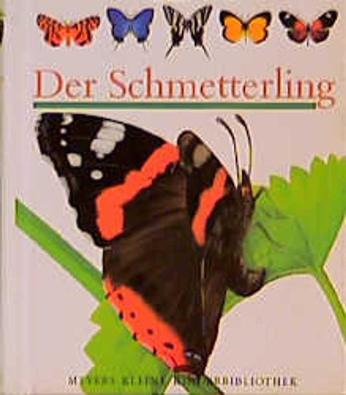 Der Schmetterling