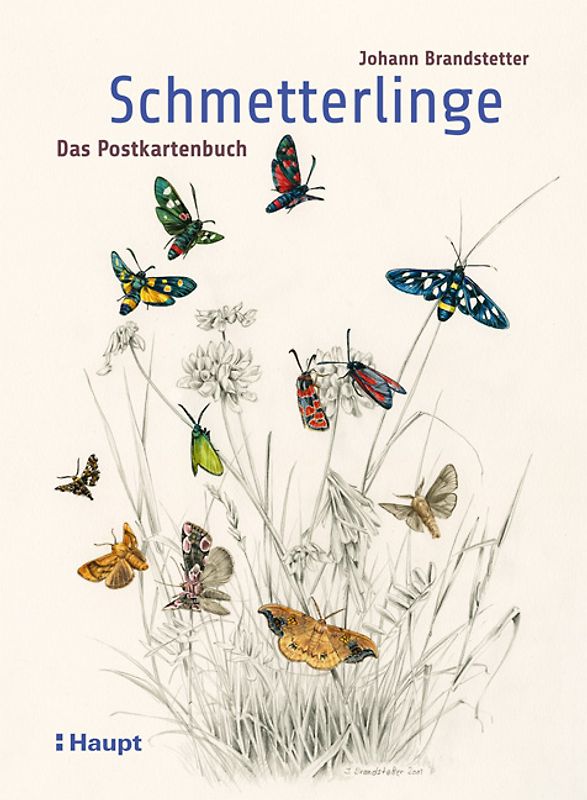 Schmetterlinge - Das Postkartenbuch