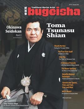Bugeisha: Traditional Martial Artist #15 (Color)