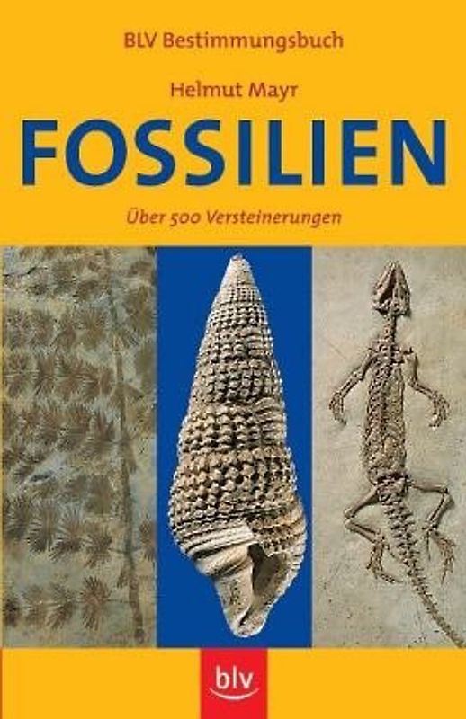 Fossilien. Über 500 Versteinerungen in Farbe