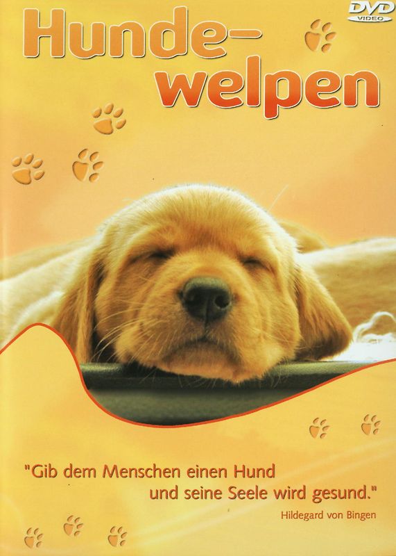 Hundewelpen DVD