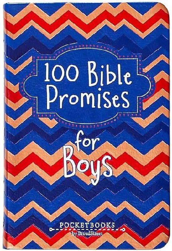 100 Bible Promises for Boys