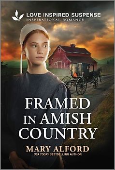 Framed in Amish Country
