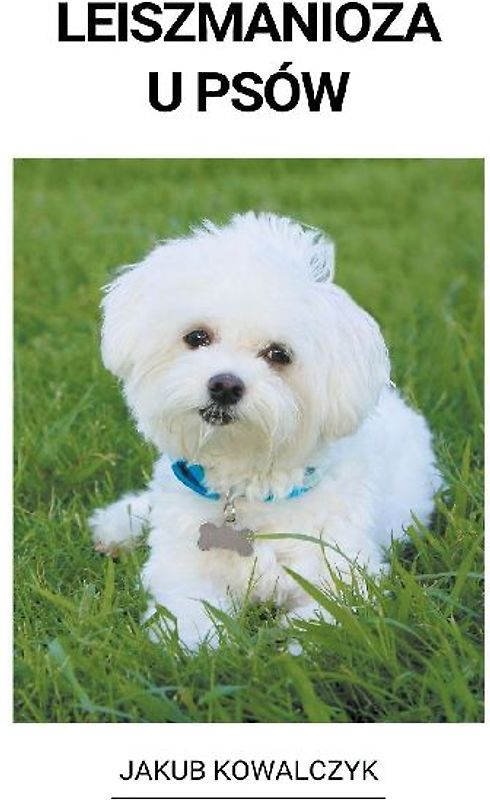 Leiszmanioza u Psów