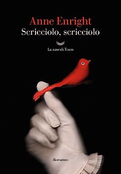 Scricciolo, scricciolo