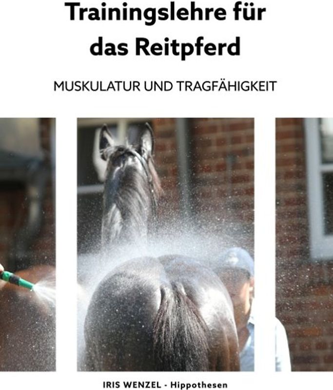 Trainingslehre für das Reitpferd