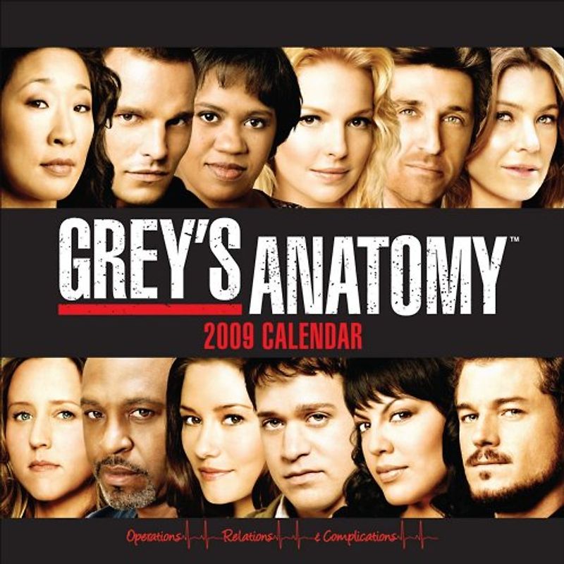 Grey's Anatomy: 2009 Calendar