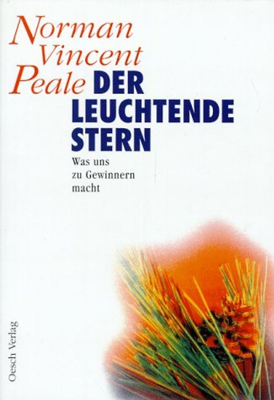 Der leuchtende Stern. Was uns zu Gewinnern macht