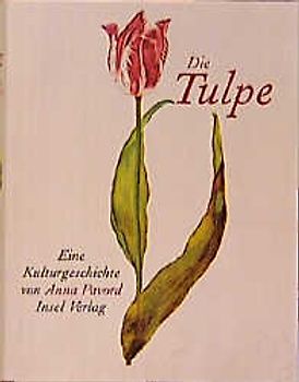 Die Tulpe
