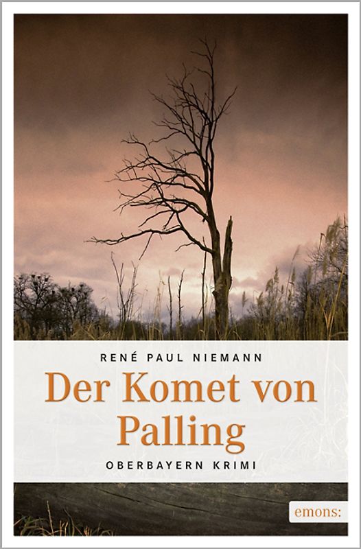 Der Komet von Palling