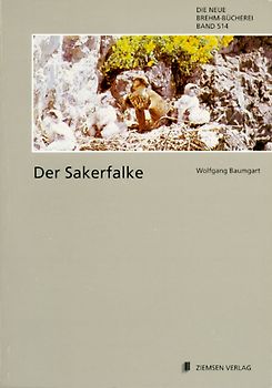 Der Sakerfalke. Falco cherrug