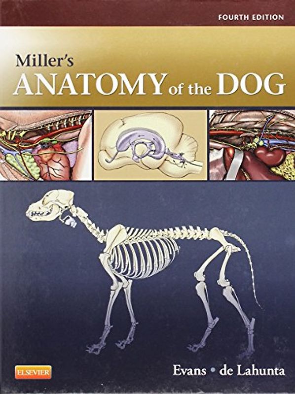 Miller's Anatomy of the Dog - Howard E. Evans, Alexander De Lahunta [4th Edition]