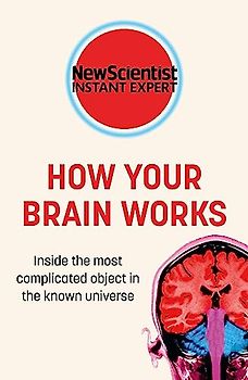 How Your Brain Works