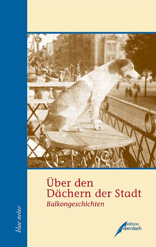 Über den Dächern der Stadt