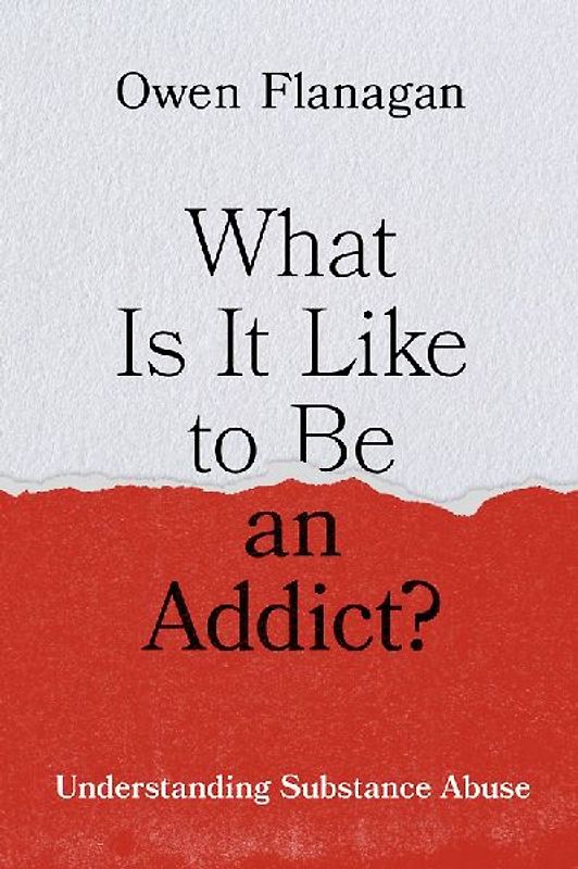What Is It Like to Be an Addict?
