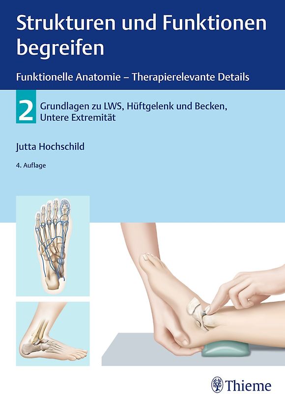 Strukturen und Funktionen begreifen - Funktionelle Anatomie