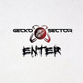 Gecko Sector - Enter