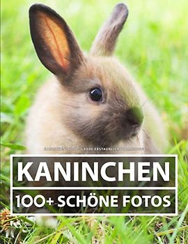 Kaninchen Buch - Große Erstaunliche Sammlung: 100 Wunderschöne Bildern - Für Kinder und Erwachsene