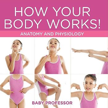 How Your Body Works! | Anatomy and Physiology