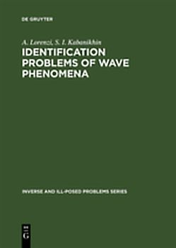 Identification Problems of Wave Phenomena