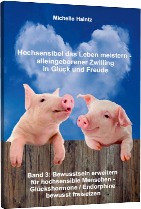 Hochsensibel das Leben meistern - alleingeborener Zwilling in Glück und Freude