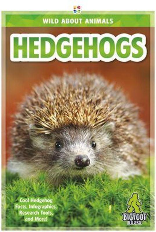 Hedgehogs