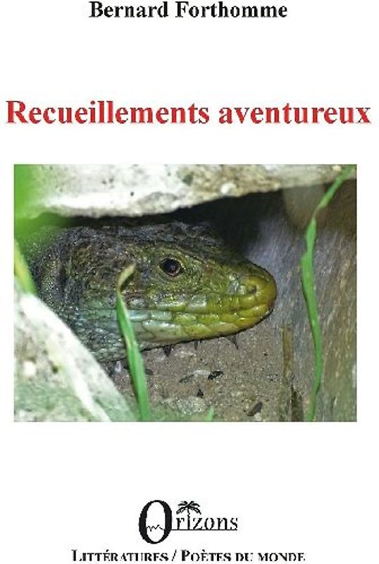 Recueillements aventureux
