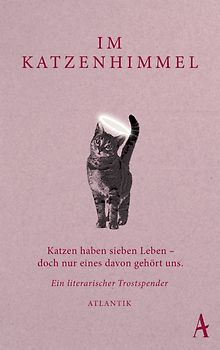Im Katzenhimmel