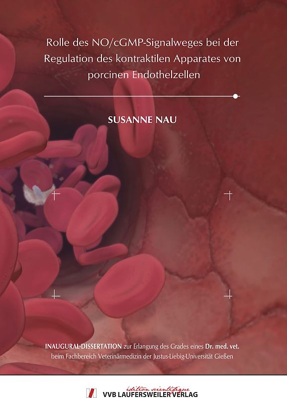 Rolle des NO/cGMP-Signalweges bei der Regulation des kontraktilen Apparates von porcinen Endothelzellen