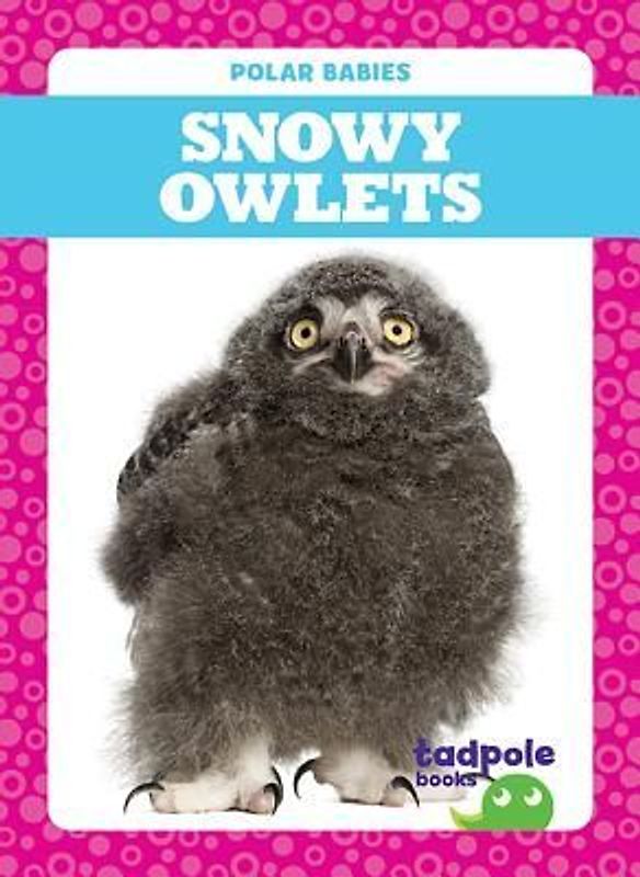 Snowy Owlets